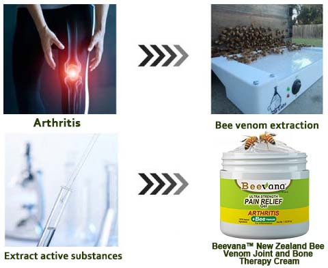 Bee Venom - Joint and Bone Therapy - Advanced Cream